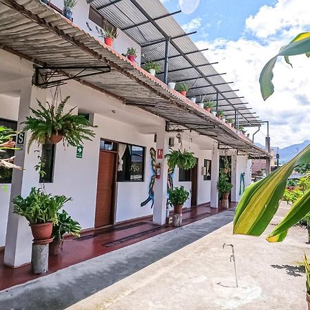 Shoffi'S House Backpackers Otel Tarapoto Dış mekan fotoğraf